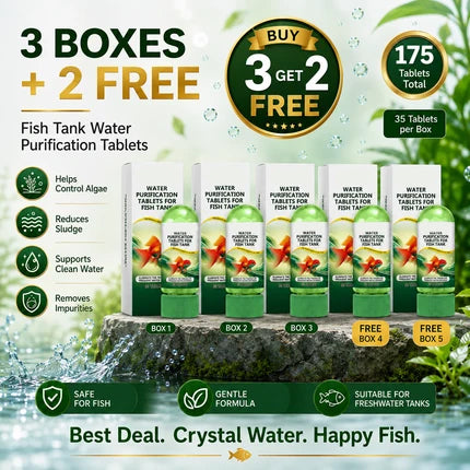 💥Hot sale♻️49% off for a limited time💧Powerful Aquarium Water Purification Tablet