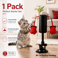 🥊 Cat Boxing Sandbag