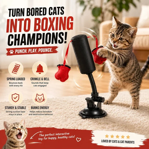 Khdnah® 🥊 Interactive Cat Boxing Toy – Catnip Punching Bag with Strong Suction Base🐱