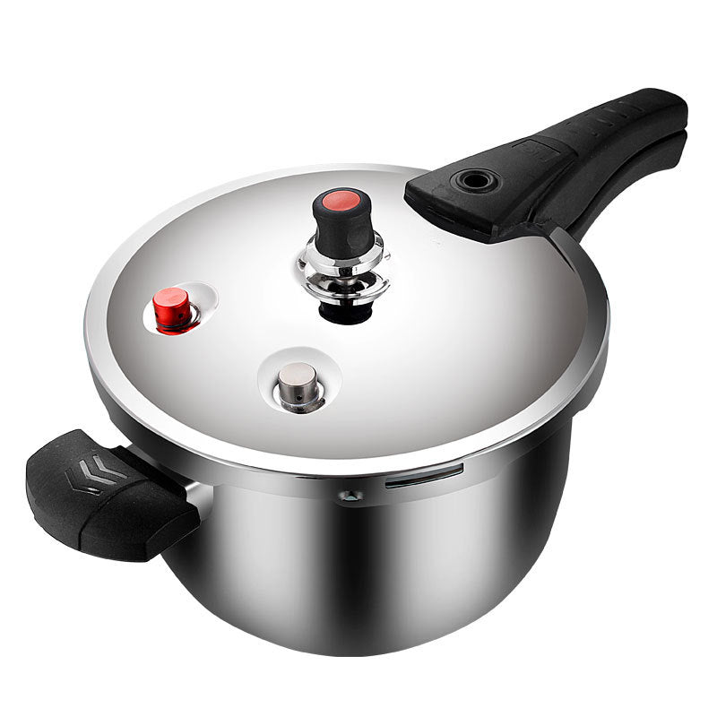 304 stainless steel small pressure cooker